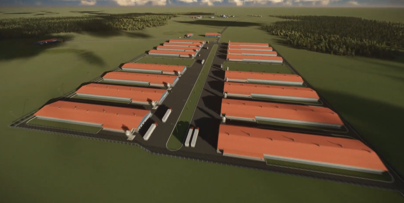 Проектирование птицефабрик: Как избежать критических ошибок и построить прибыльный бизнес