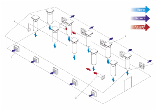 Проектирование птицефабрик: Как избежать критических ошибок и построить прибыльный бизнес